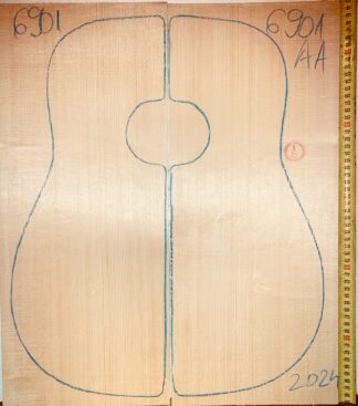 Guitar western No.6901 Top